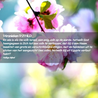 Picture 02 - 1 Kronieken 17:21 NLD - En wie is als Uw volk Israel, een enig volk op de - Bible Verse Picture