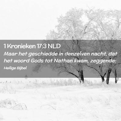 Picture 02 - 1 Kronieken 17:3 NLD - Maar het geschiedde in denzelven nacht, dat het - Bible Verse Picture
