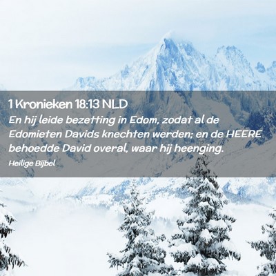 Picture 02 - 1 Kronieken 18:13 NLD - En hij leide bezetting in Edom, zodat al de - Bible Verse Picture