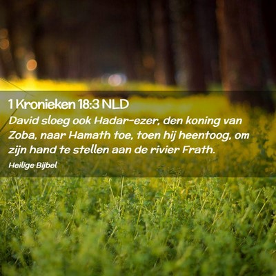 Picture 02 - 1 Kronieken 18:3 NLD - David sloeg ook Hadar-ezer, den koning van Zoba, - Bible Verse Picture