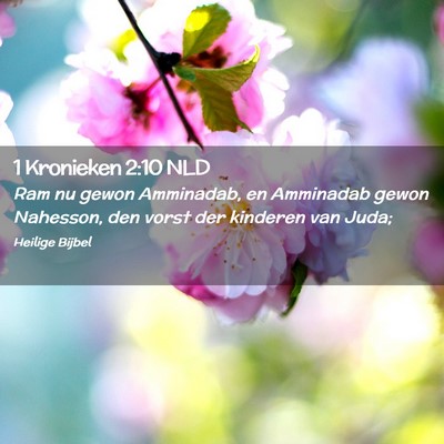 Picture 02 - 1 Kronieken 2:10 NLD - Ram nu gewon Amminadab, en Amminadab gewon - Bible Verse Picture