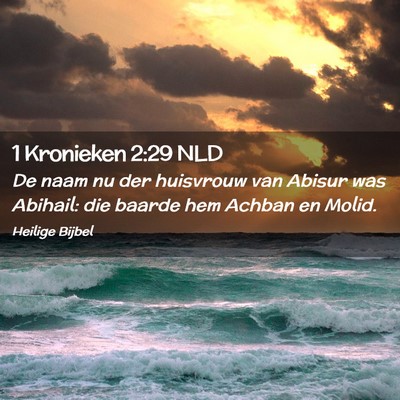 Picture 02 - 1 Kronieken 2:29 NLD - De naam nu der huisvrouw van Abisur was Abihail: - Bible Verse Picture