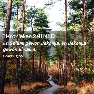 Picture 02 - 1 Kronieken 2:41 NLD - En Sallum gewon Jekamja, en Jekamja gewon - Bible Verse Picture