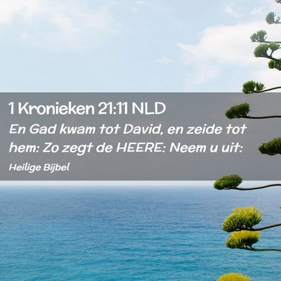 Picture 02 - 1 Kronieken 21:11 NLD - En Gad kwam tot David, en zeide tot hem: Zo zegt - Bible Verse Picture