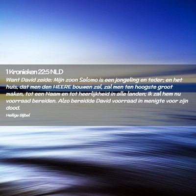 Picture 02 - 1 Kronieken 22:5 NLD - Want David zeide: Mijn zoon Salomo is een - Bible Verse Picture