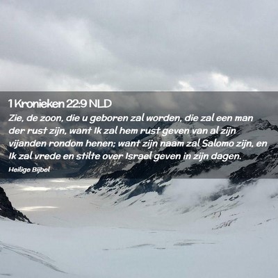 Picture 02 - 1 Kronieken 22:9 NLD - Zie, de zoon, die u geboren zal worden, die zal - Bible Verse Picture