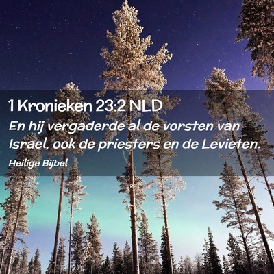 Picture 02 - 1 Kronieken 23:2 NLD - En hij vergaderde al de vorsten van Israel, ook - Bible Verse Picture