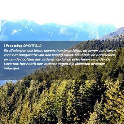 Picture 02 - 1 Kronieken 24:31 NLD - En zij wierpen ook loten, nevens hun broederen, - Bible Verse Picture