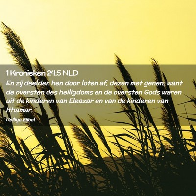 Picture 02 - 1 Kronieken 24:5 NLD - En zij deelden hen door loten af, dezen met - Bible Verse Picture