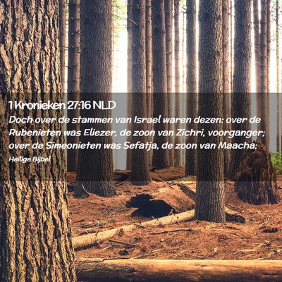 Picture 02 - 1 Kronieken 27:16 NLD - Doch over de stammen van Israel waren dezen: over - Bible Verse Picture