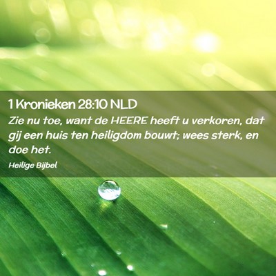 Picture 02 - 1 Kronieken 28:10 NLD - Zie nu toe, want de HEERE heeft u verkoren, dat - Bible Verse Picture