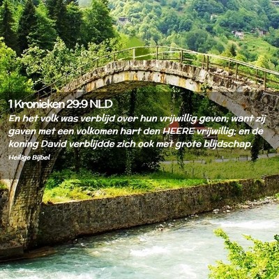 Picture 02 - 1 Kronieken 29:9 NLD - En het volk was verblijd over hun vrijwillig - Bible Verse Picture