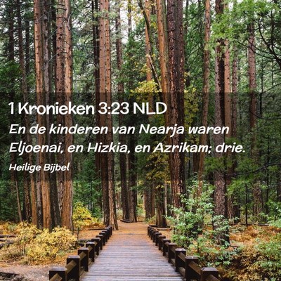 Picture 02 - 1 Kronieken 3:23 NLD - En de kinderen van Nearja waren Eljoenai, en - Bible Verse Picture