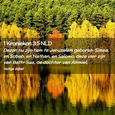 Picture 02 - 1 Kronieken 3:5 NLD - Dezen nu zijn hem te Jeruzalem geboren: Simea, en - Bible Verse Picture