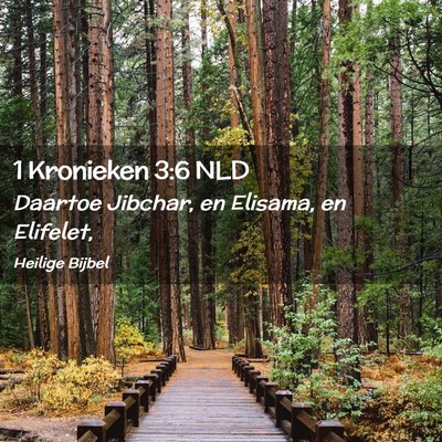 Picture 02 - 1 Kronieken 3:6 NLD - Daartoe Jibchar, en Elisama, en - Bible Verse Picture