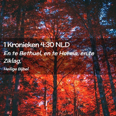 Picture 02 - 1 Kronieken 4:30 NLD - En te Bethuel, en te Horma, en te - Bible Verse Picture