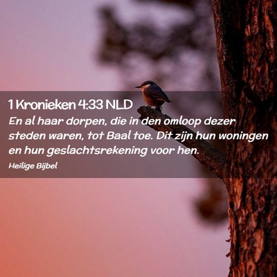 Picture 02 - 1 Kronieken 4:33 NLD - En al haar dorpen, die in den omloop dezer steden - Bible Verse Picture