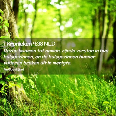 Picture 02 - 1 Kronieken 4:38 NLD - Dezen kwamen tot namen, zijnde vorsten in hun - Bible Verse Picture