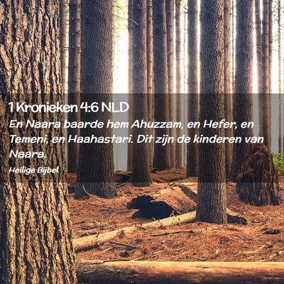 Picture 02 - 1 Kronieken 4:6 NLD - En Naara baarde hem Ahuzzam, en Hefer, en Temeni, - Bible Verse Picture