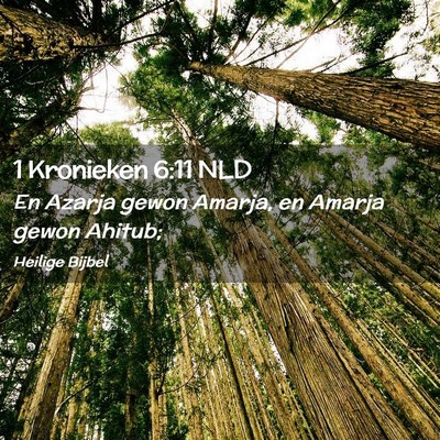 Picture 02 - 1 Kronieken 6:11 NLD - En Azarja gewon Amarja, en Amarja gewon - Bible Verse Picture