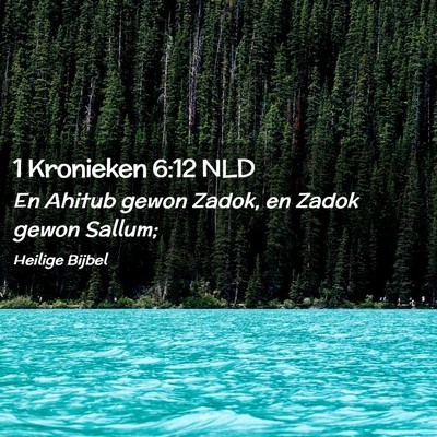 Picture 02 - 1 Kronieken 6:12 NLD - En Ahitub gewon Zadok, en Zadok gewon - Bible Verse Picture