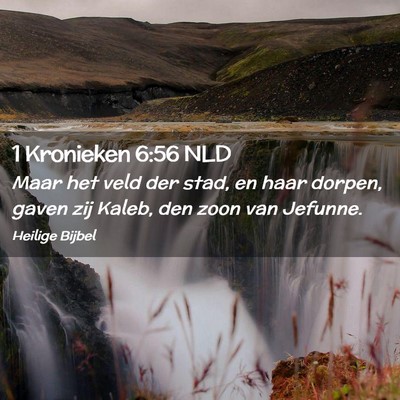 Picture 02 - 1 Kronieken 6:56 NLD - Maar het veld der stad, en haar dorpen, gaven zij - Bible Verse Picture
