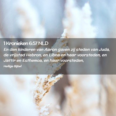 Picture 02 - 1 Kronieken 6:57 NLD - En den kinderen van Aaron gaven zij steden van - Bible Verse Picture