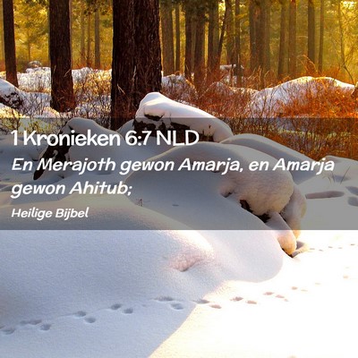 Picture 02 - 1 Kronieken 6:7 NLD - En Merajoth gewon Amarja, en Amarja gewon - Bible Verse Picture
