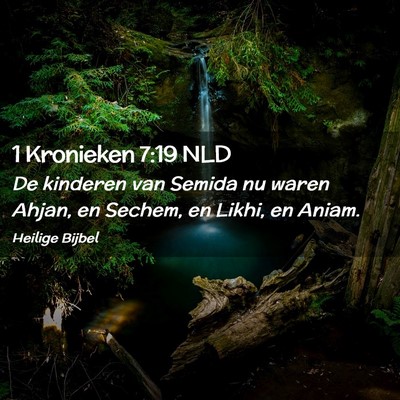 Picture 02 - 1 Kronieken 7:19 NLD - De kinderen van Semida nu waren Ahjan, en Sechem, - Bible Verse Picture
