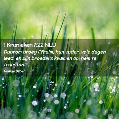 Picture 02 - 1 Kronieken 7:22 NLD - Daarom droeg Efraim, hun vader, vele dagen leed; - Bible Verse Picture