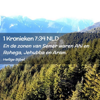 Picture 02 - 1 Kronieken 7:34 NLD - En de zonen van Semer waren Ahi en Rohega, - Bible Verse Picture