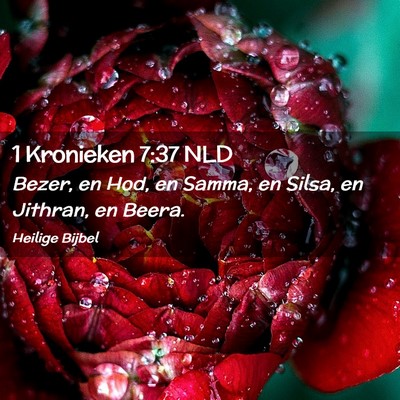 Picture 02 - 1 Kronieken 7:37 NLD - Bezer, en Hod, en Samma, en Silsa, en Jithran, en - Bible Verse Picture