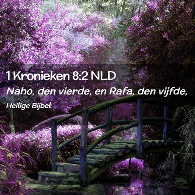 Picture 02 - 1 Kronieken 8:2 NLD - Naho, den vierde, en Rafa, den - Bible Verse Picture