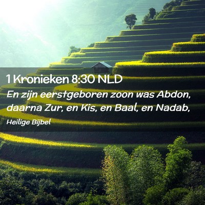 Picture 02 - 1 Kronieken 8:30 NLD - En zijn eerstgeboren zoon was Abdon, daarna Zur, - Bible Verse Picture