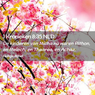 Picture 02 - 1 Kronieken 8:35 NLD - De kinderen van Micha nu waren Pithon, en Melech, - Bible Verse Picture