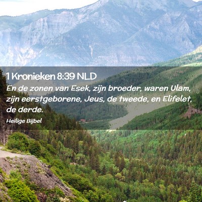 Picture 02 - 1 Kronieken 8:39 NLD - En de zonen van Esek, zijn broeder, waren Ulam, - Bible Verse Picture