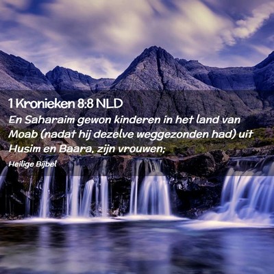 Picture 02 - 1 Kronieken 8:8 NLD - En Saharaim gewon kinderen in het land van Moab - Bible Verse Picture