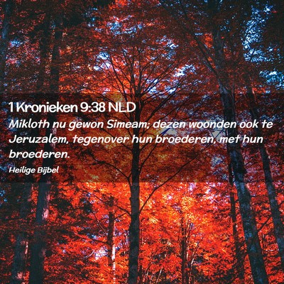 Picture 02 - 1 Kronieken 9:38 NLD - Mikloth nu gewon Simeam; dezen woonden ook te - Bible Verse Picture