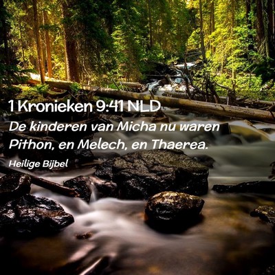 Picture 02 - 1 Kronieken 9:41 NLD - De kinderen van Micha nu waren Pithon, en Melech, - Bible Verse Picture