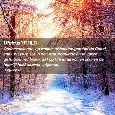 Picture 02 - 1 Petrus 1:11 NLD - Onderzoekende, op welken of hoedanigen tijd de - Bible Verse Picture