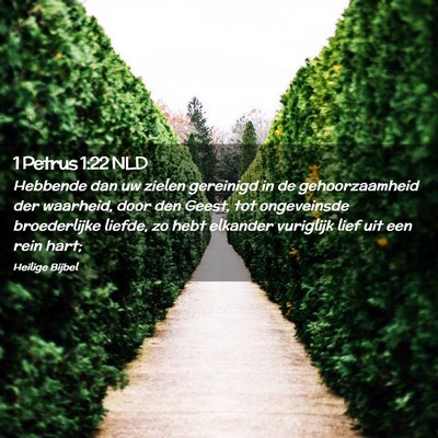 Picture 02 - 1 Petrus 1:22 NLD - Hebbende dan uw zielen gereinigd in de - Bible Verse Picture