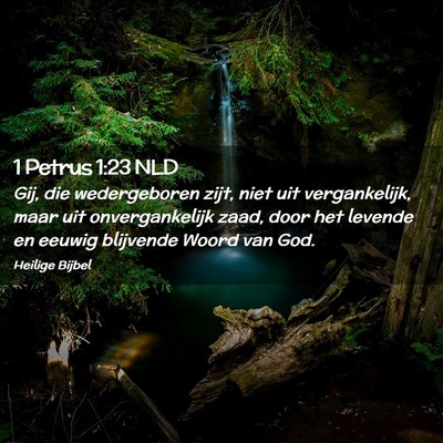 Picture 02 - 1 Petrus 1:23 NLD - Gij, die wedergeboren zijt, niet uit - Bible Verse Picture