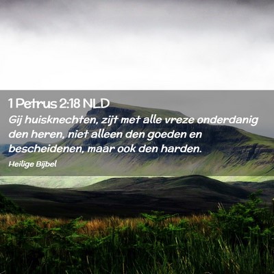 Picture 02 - 1 Petrus 2:18 NLD - Gij huisknechten, zijt met alle vreze onderdanig - Bible Verse Picture