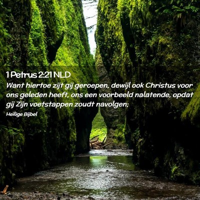 Picture 02 - 1 Petrus 2:21 NLD - Want hiertoe zijt gij geroepen, dewijl ook - Bible Verse Picture