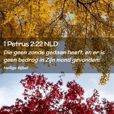 Picture 02 - 1 Petrus 2:22 NLD - Die geen zonde gedaan heeft, en er is geen bedrog - Bible Verse Picture