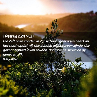Picture 02 - 1 Petrus 2:24 NLD - Die Zelf onze zonden in Zijn lichaam gedragen - Bible Verse Picture