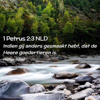 Picture 02 - 1 Petrus 2:3 NLD - Indien gij anders gesmaakt hebt, dat de Heere - Bible Verse Picture