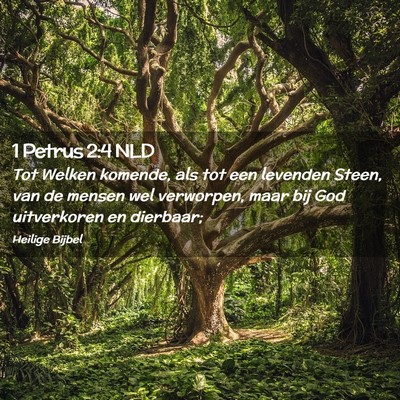 Picture 02 - 1 Petrus 2:4 NLD - Tot Welken komende, als tot een levenden Steen, - Bible Verse Picture