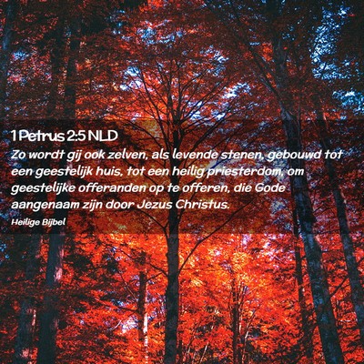 Picture 02 - 1 Petrus 2:5 NLD - Zo wordt gij ook zelven, als levende stenen, - Bible Verse Picture