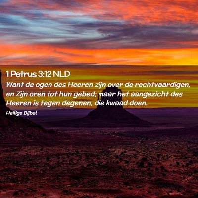 Picture 02 - 1 Petrus 3:12 NLD - Want de ogen des Heeren zijn over de - Bible Verse Picture